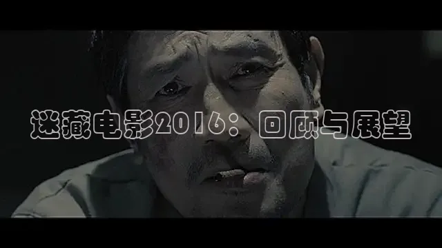 迷藏电影2016：回顾与展望
